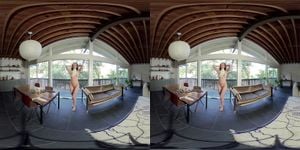 Mfc vr thumbnail