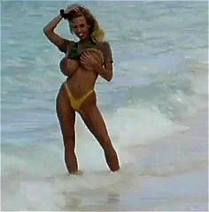 At the Beach At the Beach