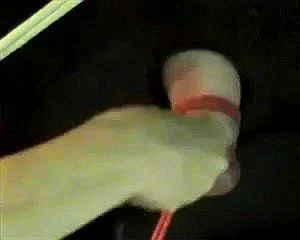Watch from 0:03:22