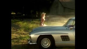 playmate-pet Thumbnail