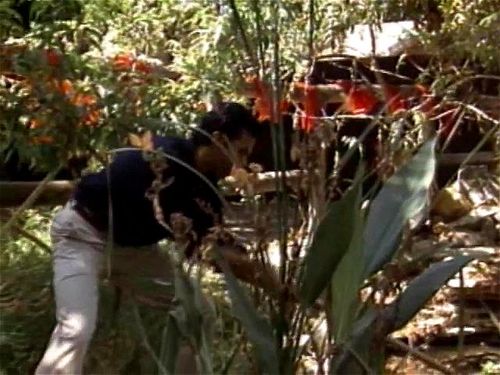 Ancient Asian Sex Secrets 