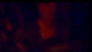 Trans Girl Worships My BWC