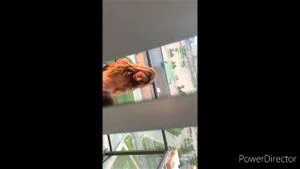Watch from 0:03:29