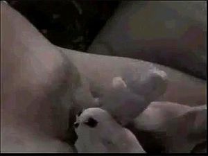 Watch from 0:00:44