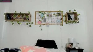 Watch from 0:24:49