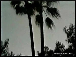 Watch from 0:06:23