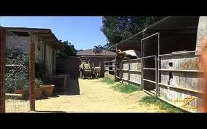 Watch from 0:41:59