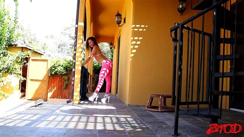 Dance Dance