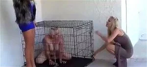 Animal Humiliation Porn - Pet Humiliation Porn - pet & humiliation Videos - SpankBang