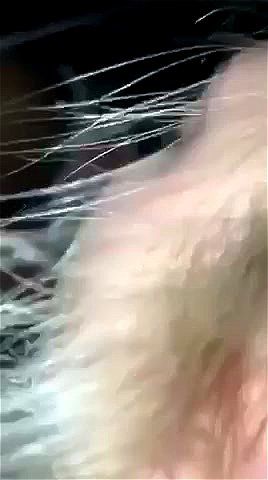 Watch from 0:00:32