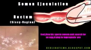 Anotomical Transexual Anal Illustration - Watch Shemale Anatomy - Tranny, Shemale, Transexual Porn - SpankBang