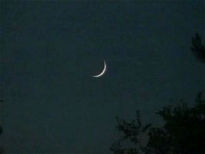 Watch from 0:08:59