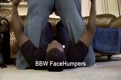 Facesitting: Porn - SpankBang