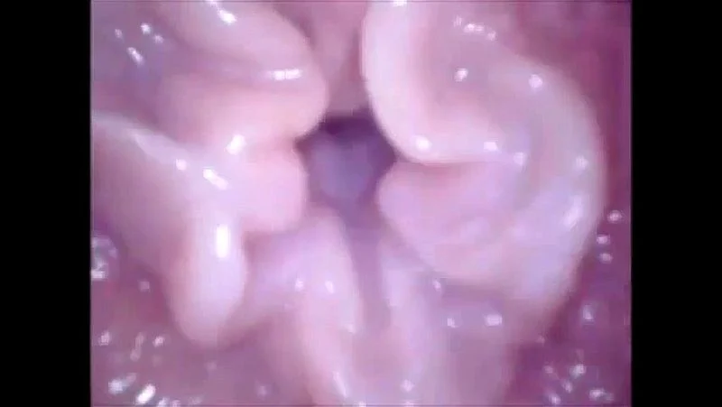 inside pussy cam inside pussy cam