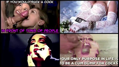 tranny - Tranny, Shemale, Transexual Porn - SpankBang