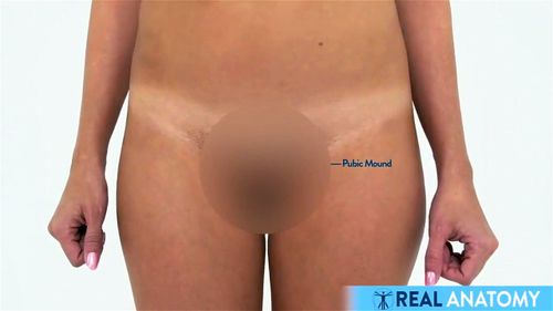 Female Anatomy for Sissies and Losers: Onlyfans & Sissy Porn