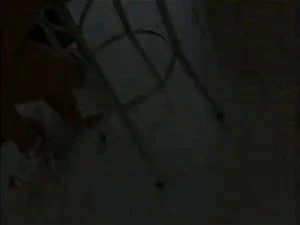 Watch from 0:04:35