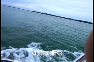 Watch from 0:00:48