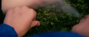 Watch from 0:04:17