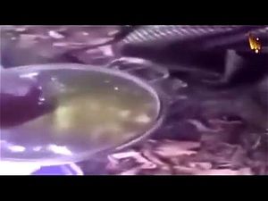 Watch from 0:00:54