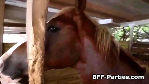 Horse Porn Spankbang - Watch Three cowgirls sharing dick at farm - Amateur, Teen (18+) Porn -  SpankBang