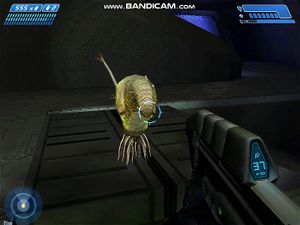 Halo 3 Flood Spore Porn - Watch CuriAmigos es mierda - Halo, Flood, Halo Ce Porn - SpankBang