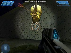 Halo 3 Flood Spore Porn - Watch CuriAmigos es mierda - Halo, Flood, Halo Ce Porn - SpankBang