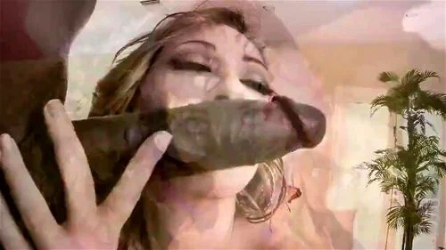 Sissy Fantasy - Sissy, Tranny, Shemale Porn