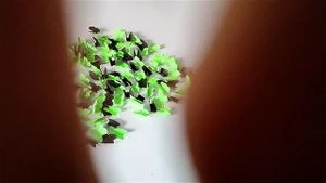 anal queen