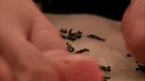 japanesegirlgts: Xvideos, Pov & Feet Porn