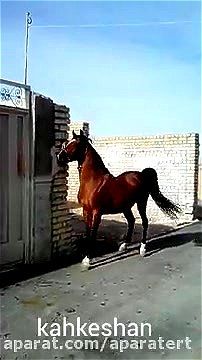 Watch from 0:00:05