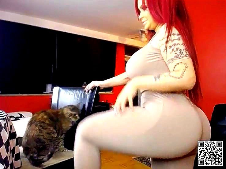 asszilla!! asszilla!!