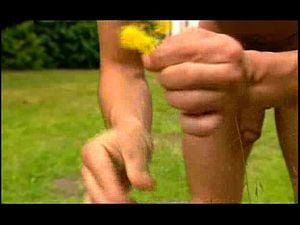 Watch from 0:07:02
