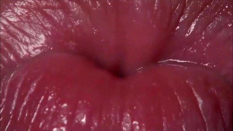 Kisses Kisses