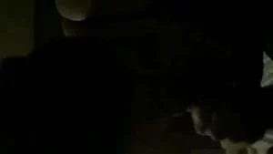 Watch from 0:00:39