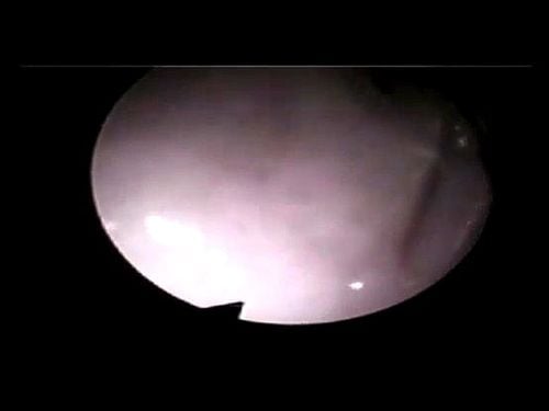 Inside View of Sex エロ動画 - SpankBang