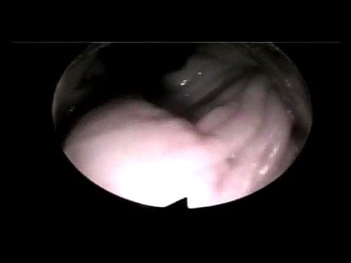 Inside View of Sex エロ動画 - SpankBang