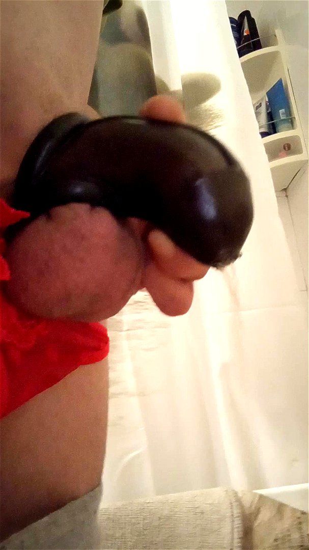 Jaula genital Jaula genital