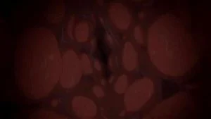 Watch from 0:03:19