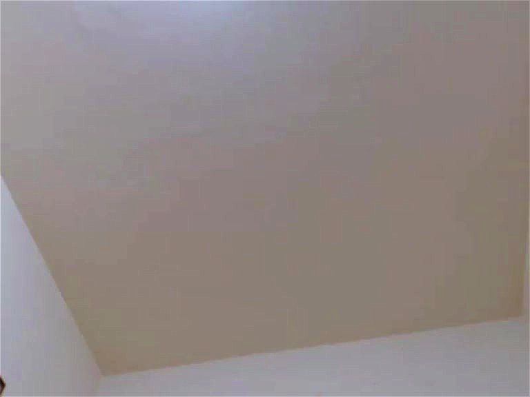Webcam Aswildorange collection 20