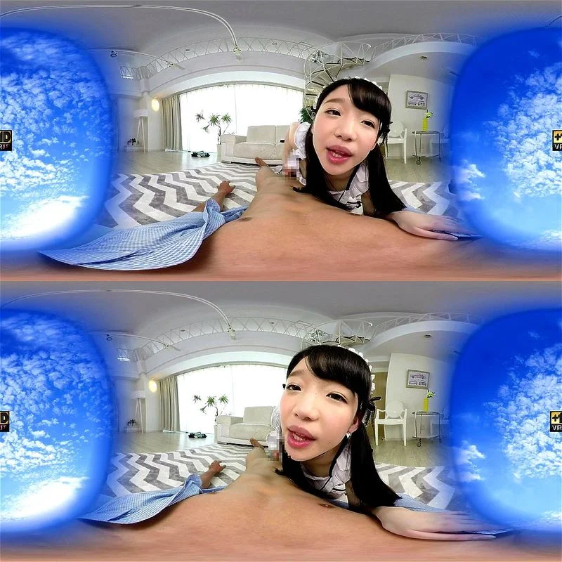 vr maid