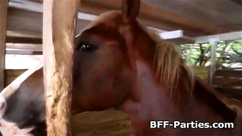 Three cowgirls and one cock at the barn