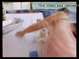 Watch from 0:00:20