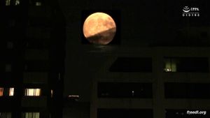 Watch from 0:12:56