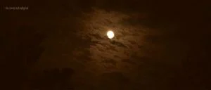 Watch from 0:06:54