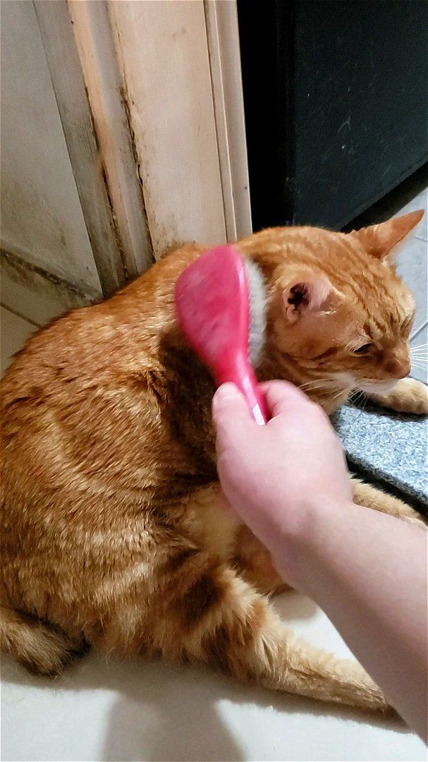 touch pussy