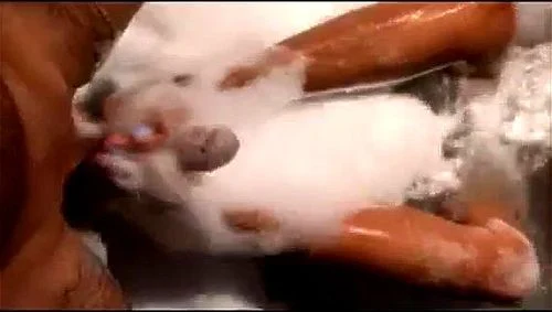 Découverte fortuite 1 Vidéo Porno - SpankBang