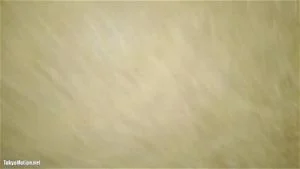 パンチラ thumbnail