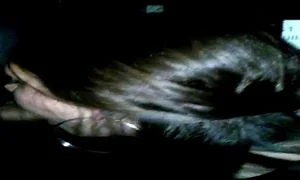 Watch from 0:00:10