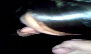 Watch from 0:01:05